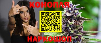 jwh Камышлов
