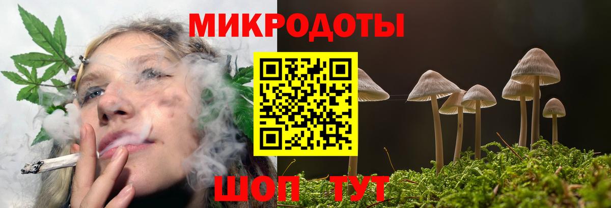 Галлюциногенные грибы мицелий Кудрово