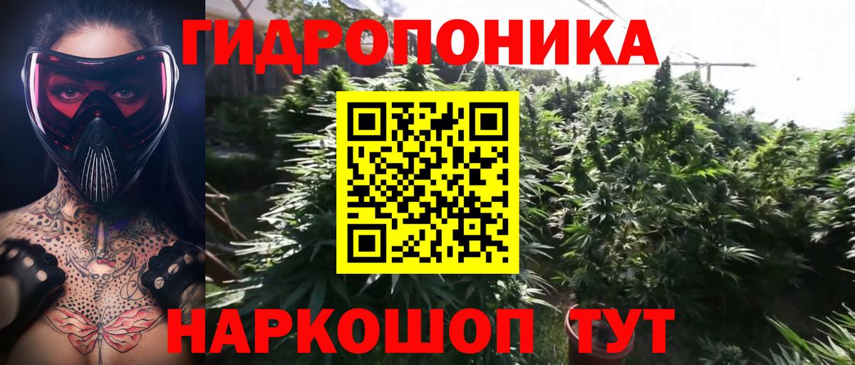 Бошки Шишки ГИДРОПОН Кудрово